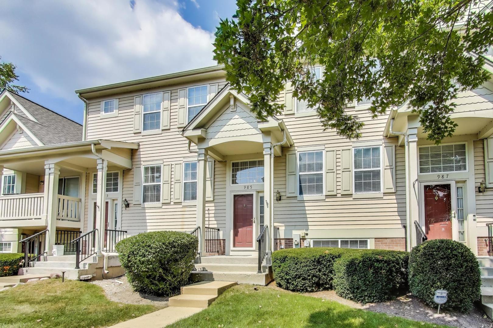 985 Manchester Circle #985, Grayslake, IL 60030