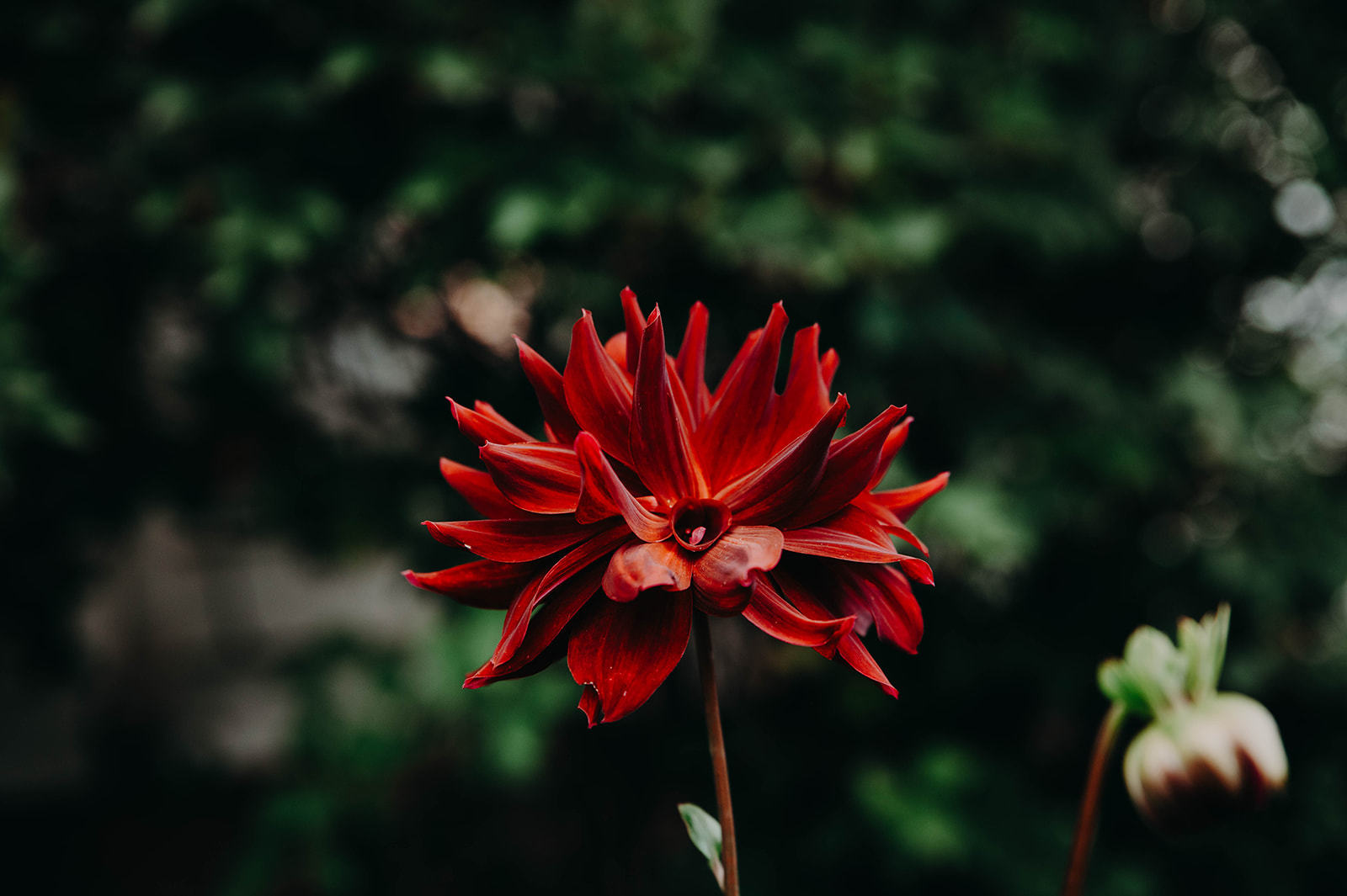 345 e market Street, Somonauk, IL 60552