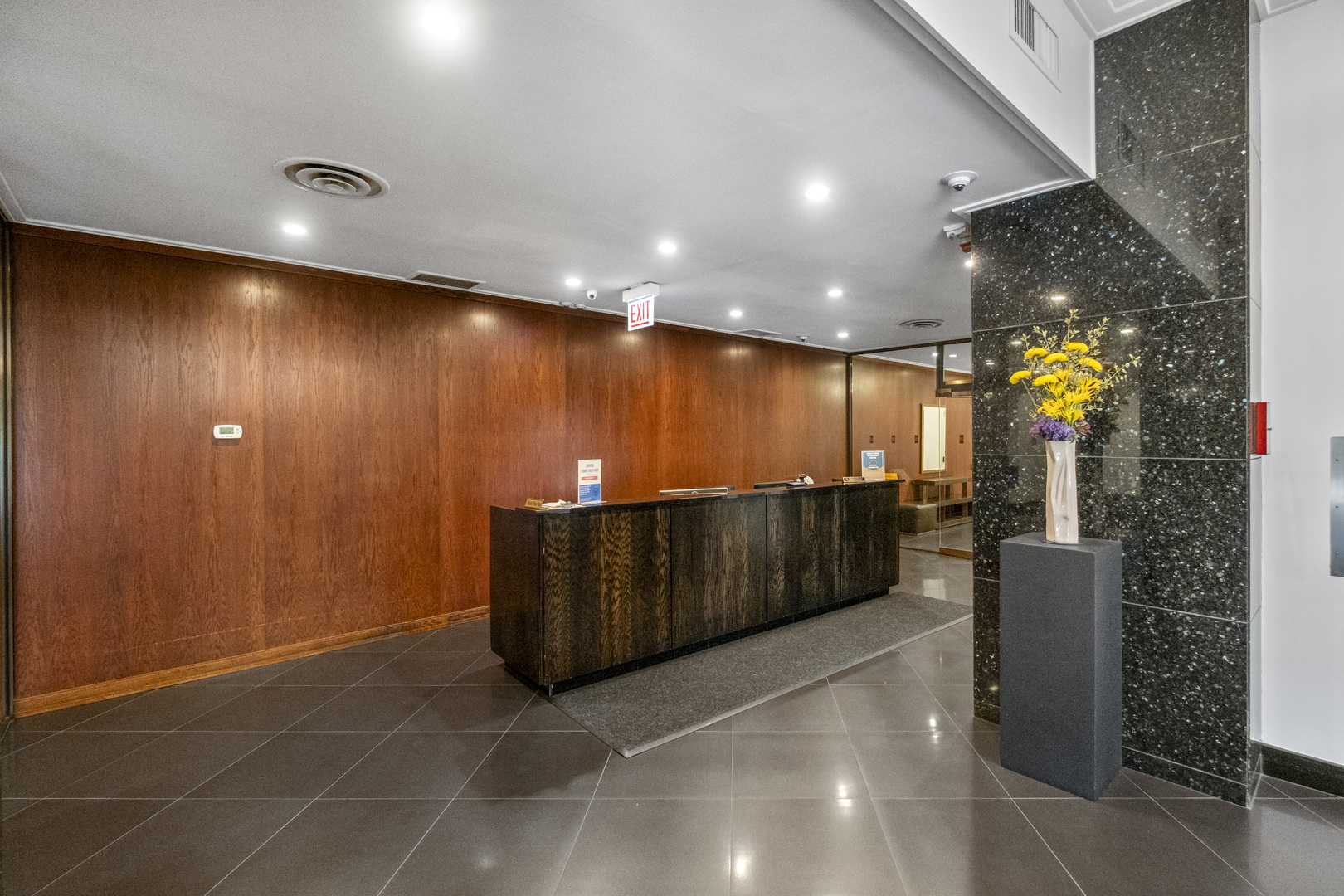 1000 N Lake Shore Drive #1808, Chicago, IL 60611