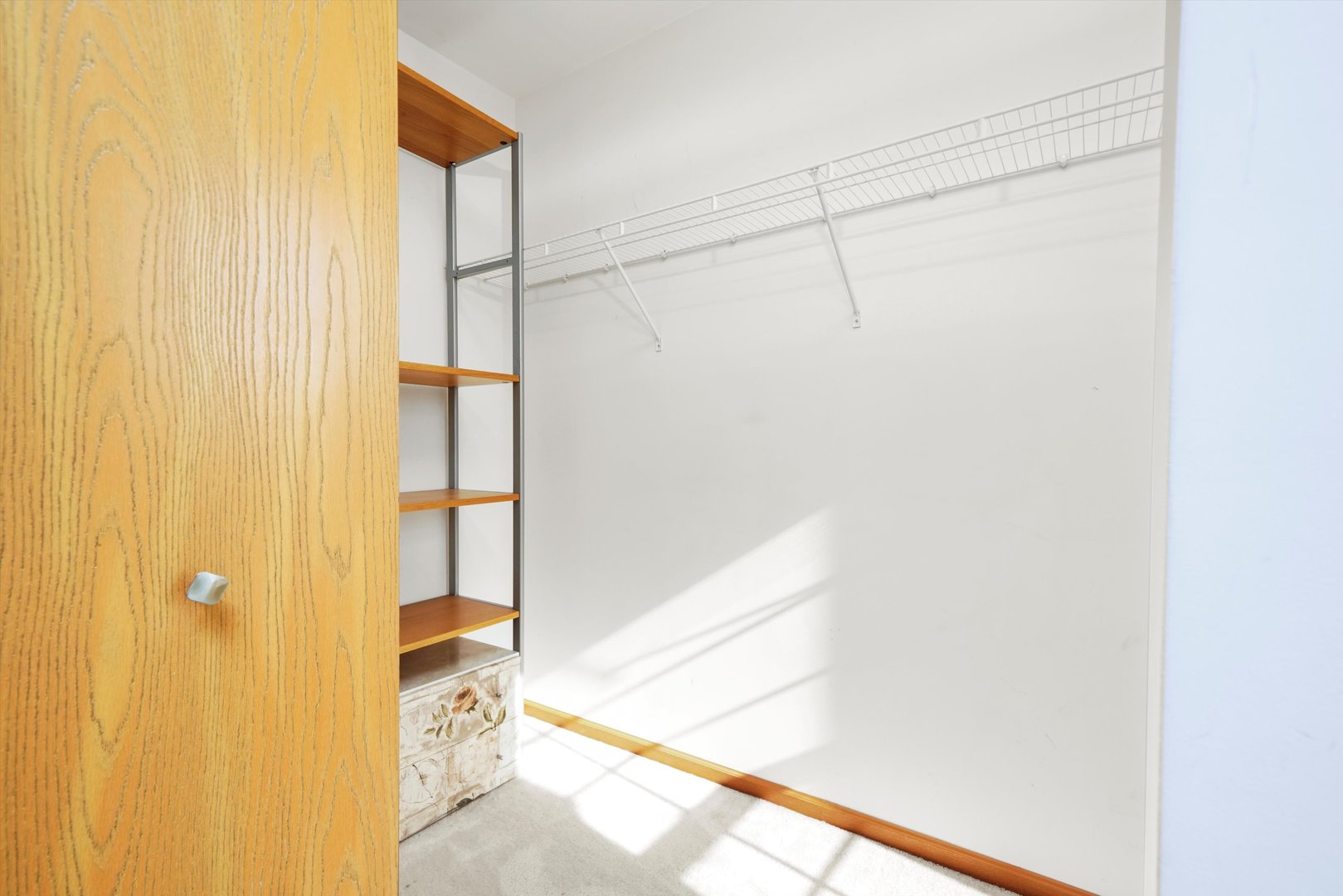 533 CANNONBALL Drive, Grayslake, IL 60030