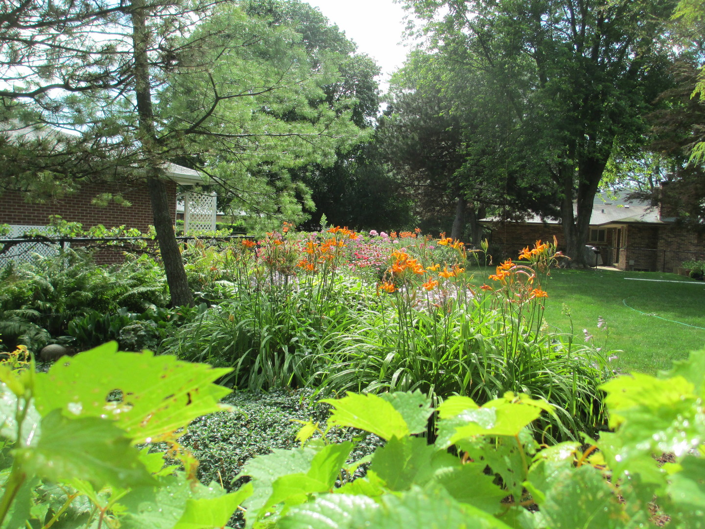 1811 E Maya Lane, Mount Prospect, IL 60056