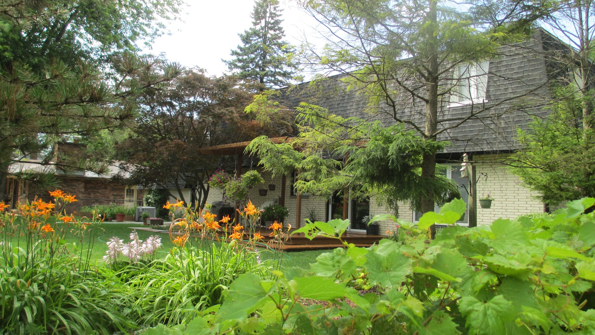 1811 E Maya Lane, Mount Prospect, IL 60056