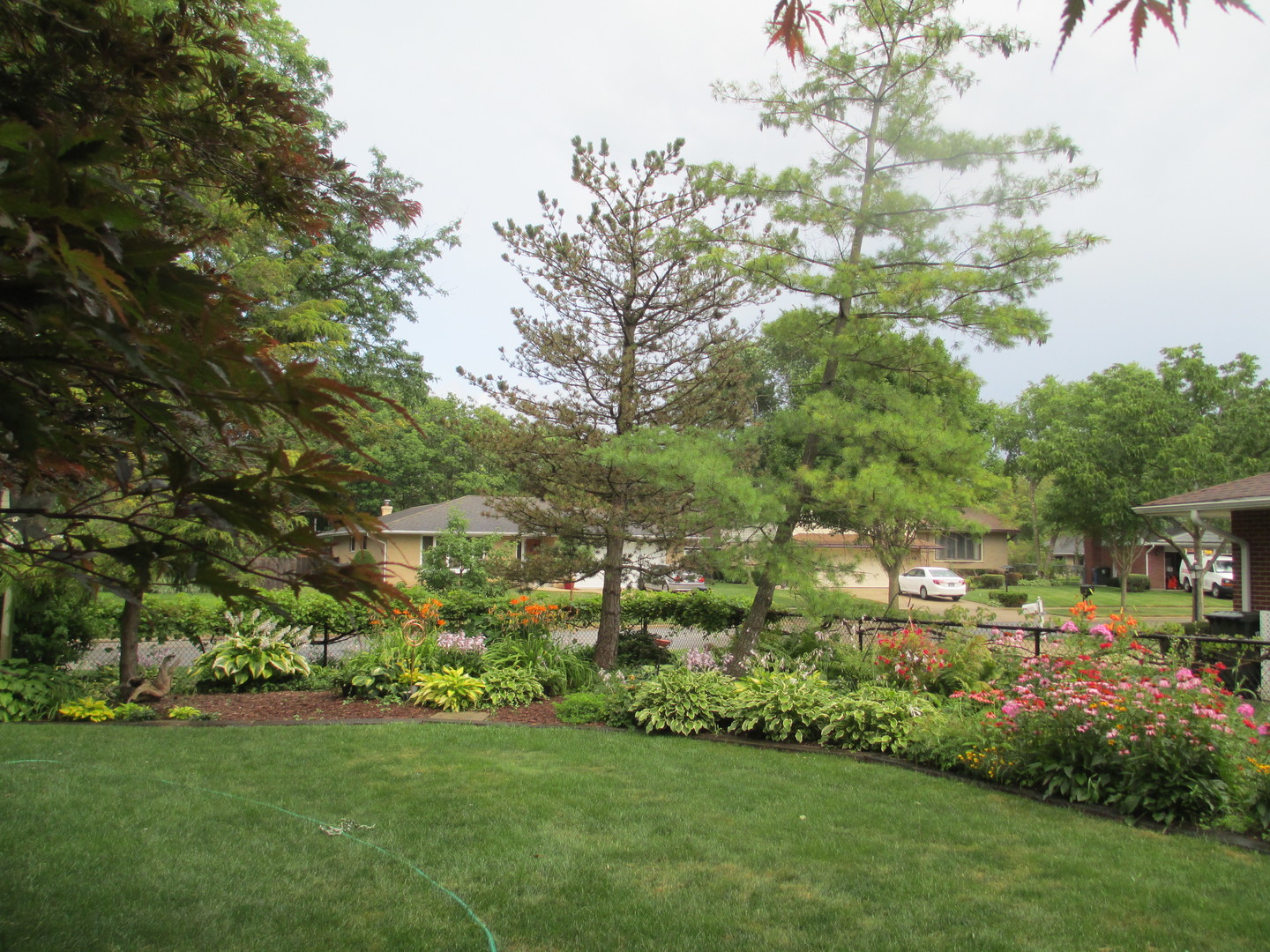 1811 E Maya Lane, Mount Prospect, IL 60056