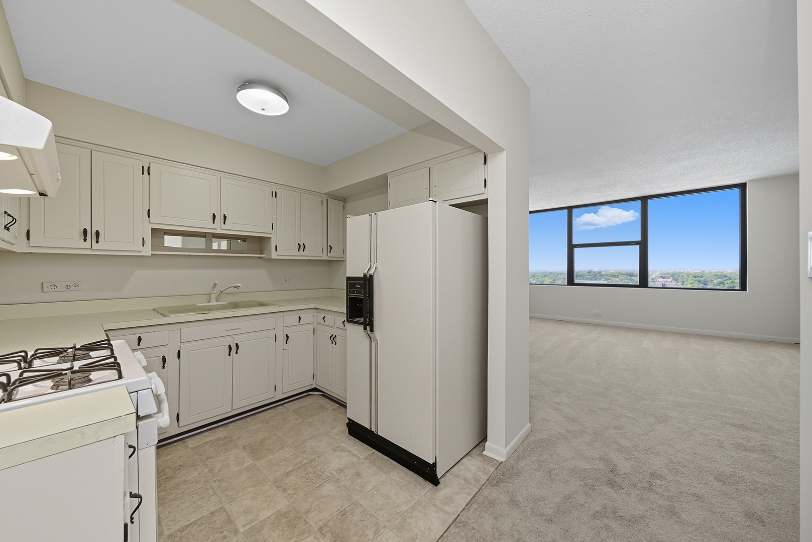 7234 W North Avenue #1701, Elmwood Park, IL 60707