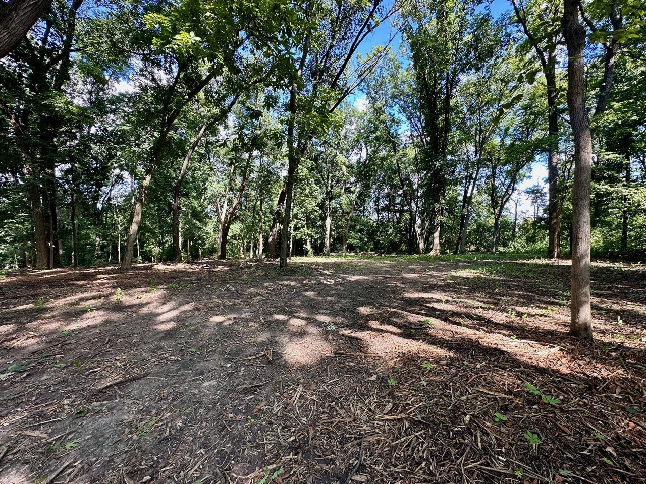 14414 W 167th Street, Homer Glen, IL 60491