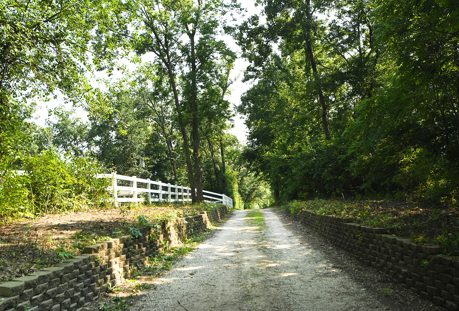 14414 W 167th Street, Homer Glen, IL 60491