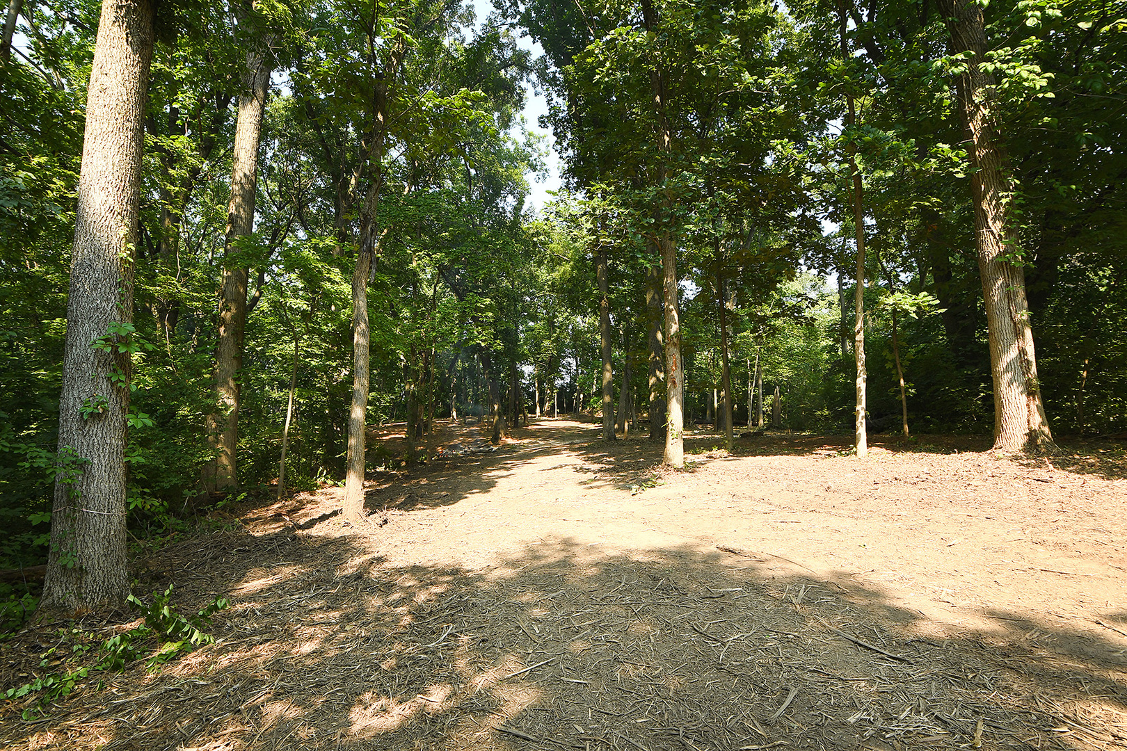 14414 W 167th Street, Homer Glen, IL 60491