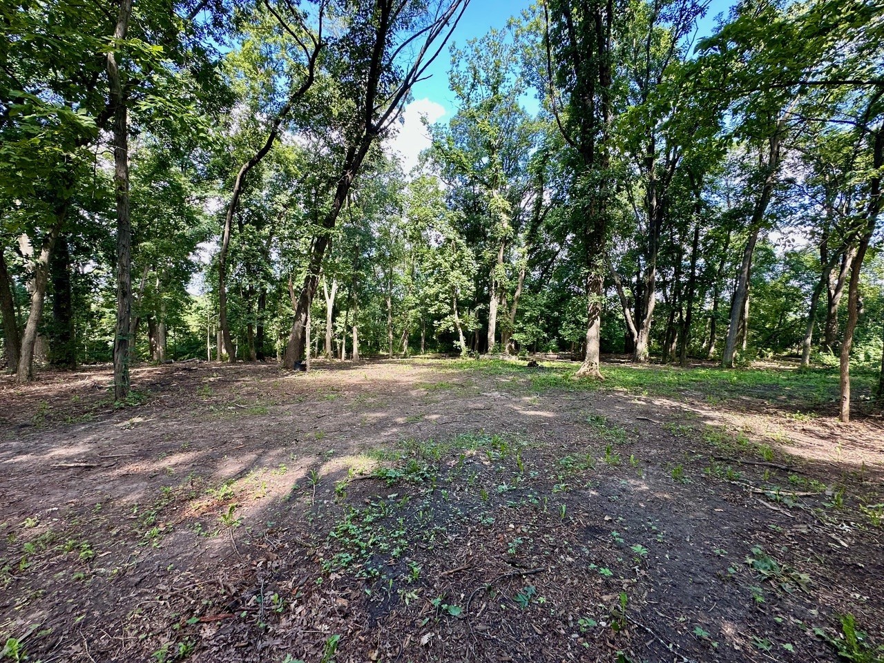 14414 W 167th Street, Homer Glen, IL 60491