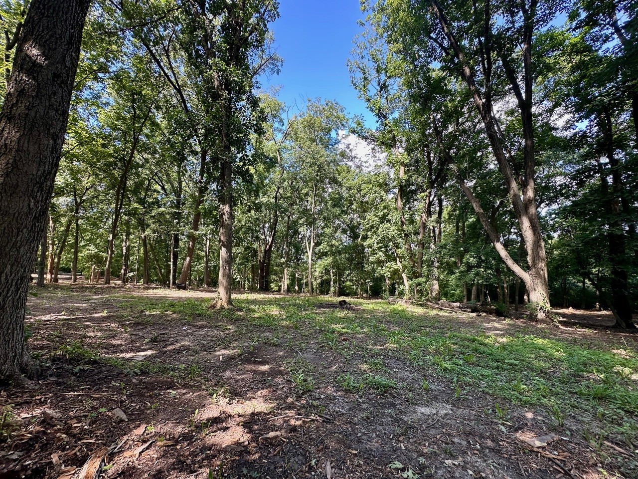 14414 W 167th Street, Homer Glen, IL 60491