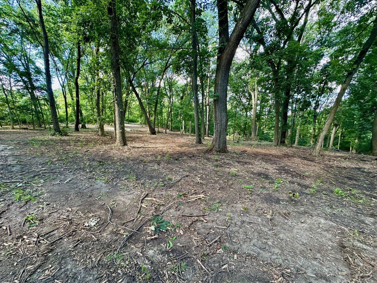 14414 W 167th Street, Homer Glen, IL 60491