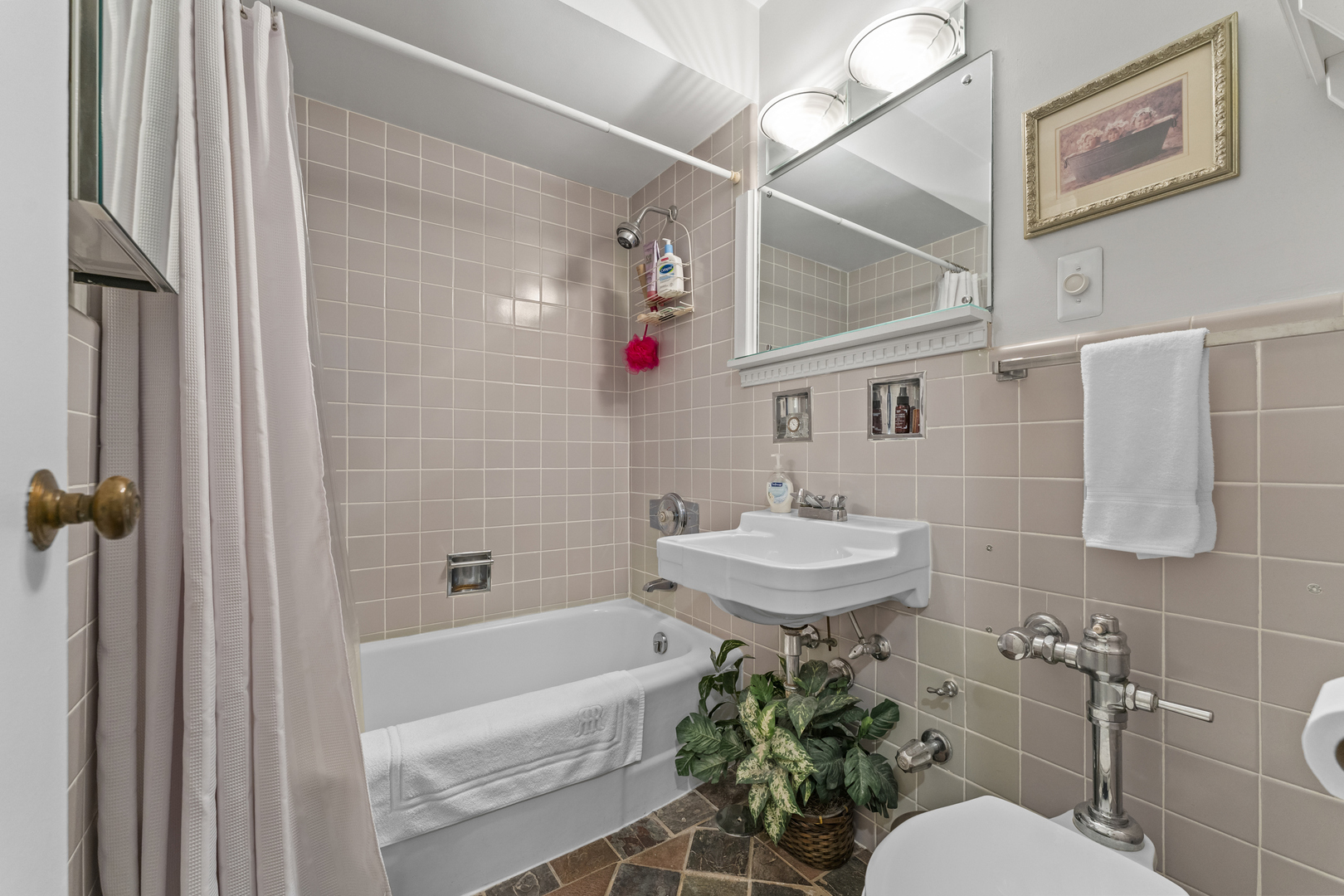 2135 Central Street #3W, Evanston, IL 60201