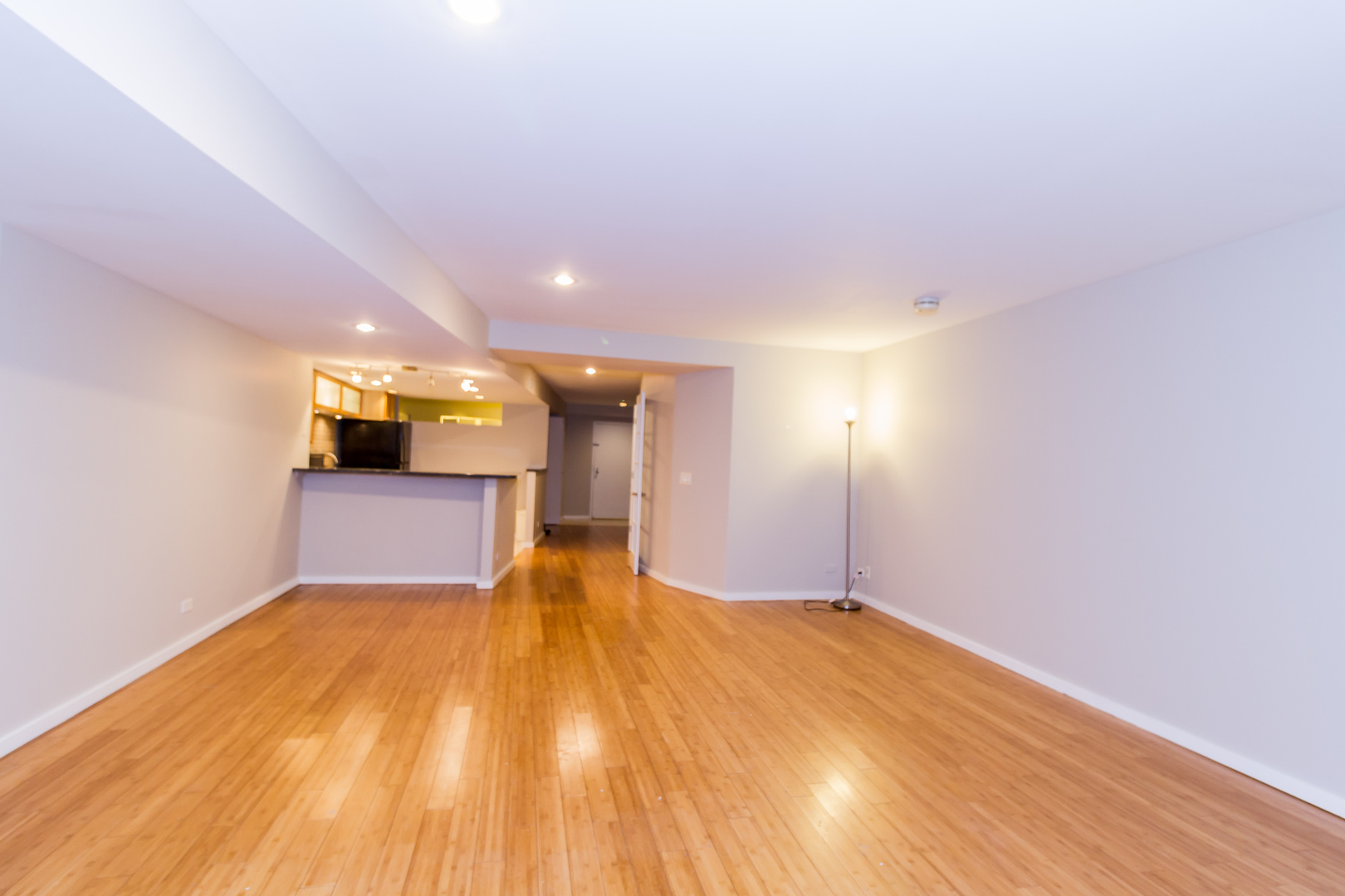 40 E 9th Street #707, Chicago, IL 60605