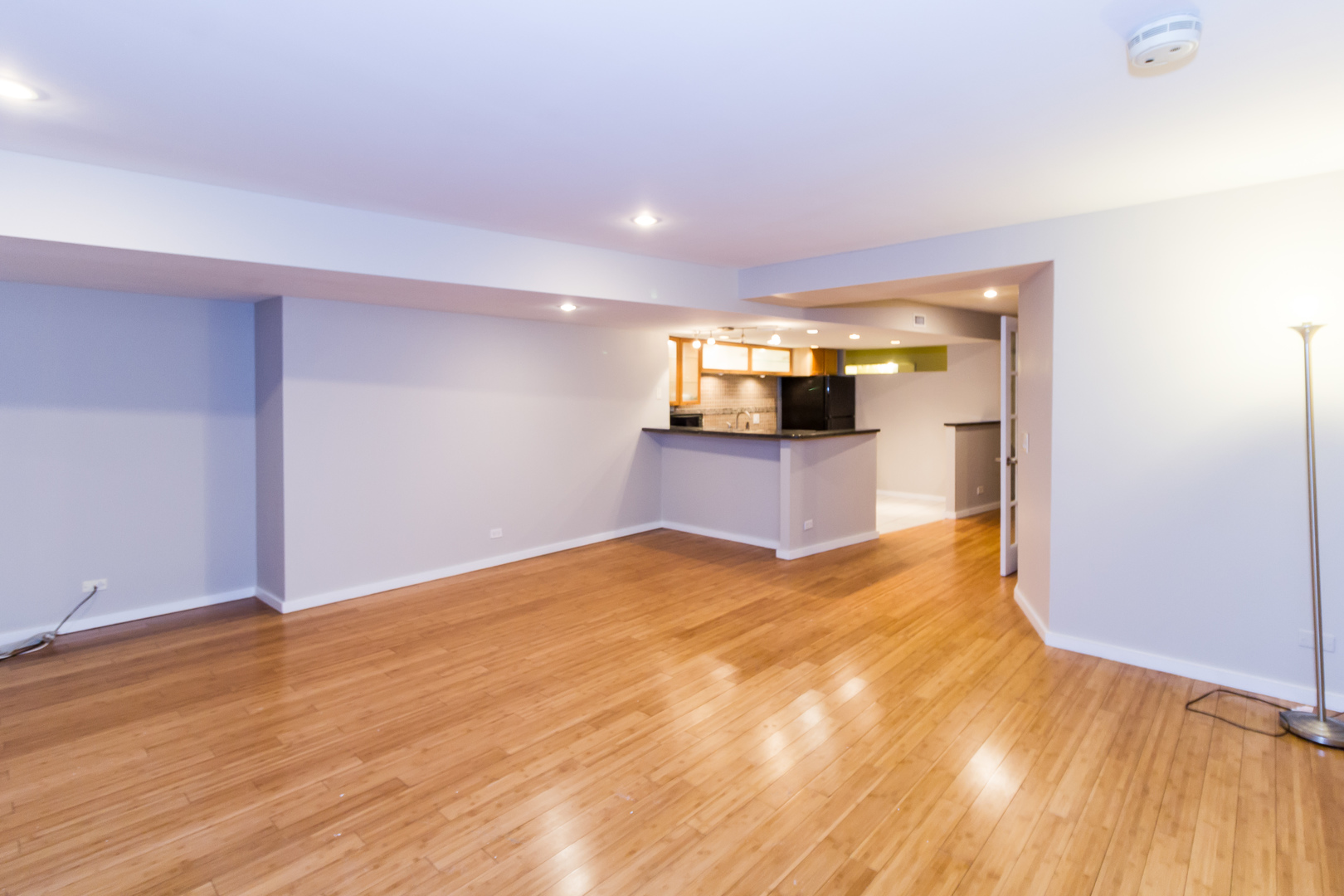 40 E 9th Street #707, Chicago, IL 60605