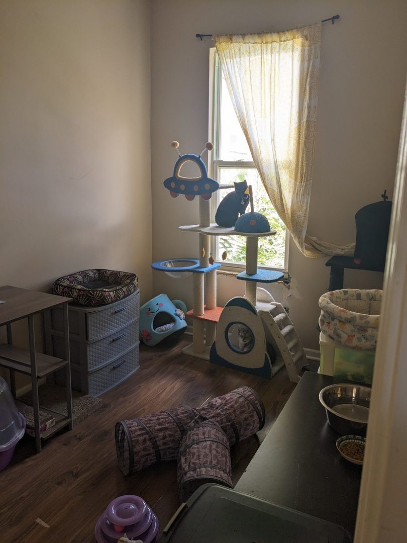 1843 S RIDGEWAY Avenue, Chicago, IL 60623