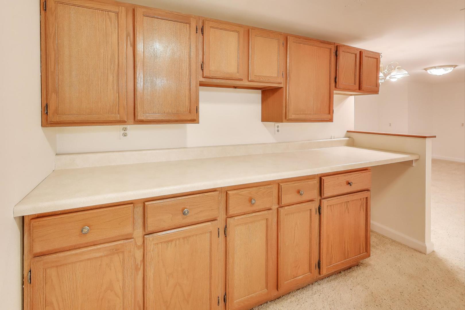 3800 Harrison Avenue, Brookfield, IL 60513