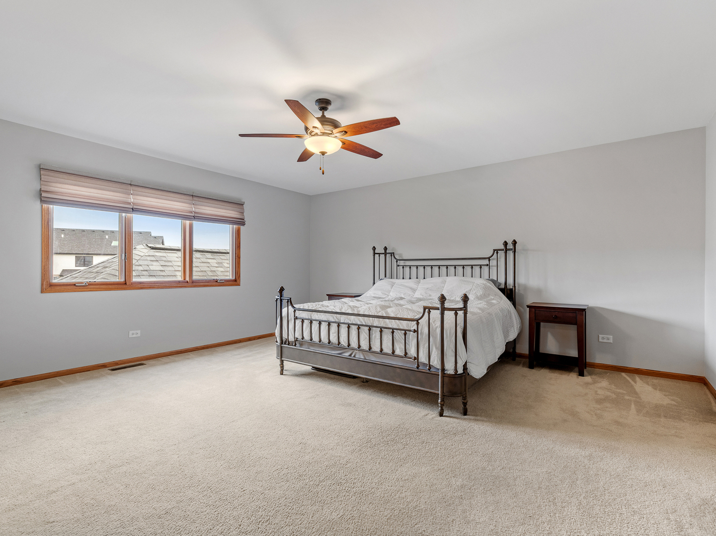 8530 Radcliffe Road, Tinley Park, IL 60487