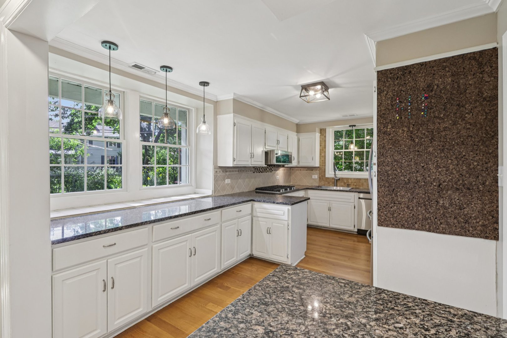 6619 Palma Lane, Morton Grove, IL 60053