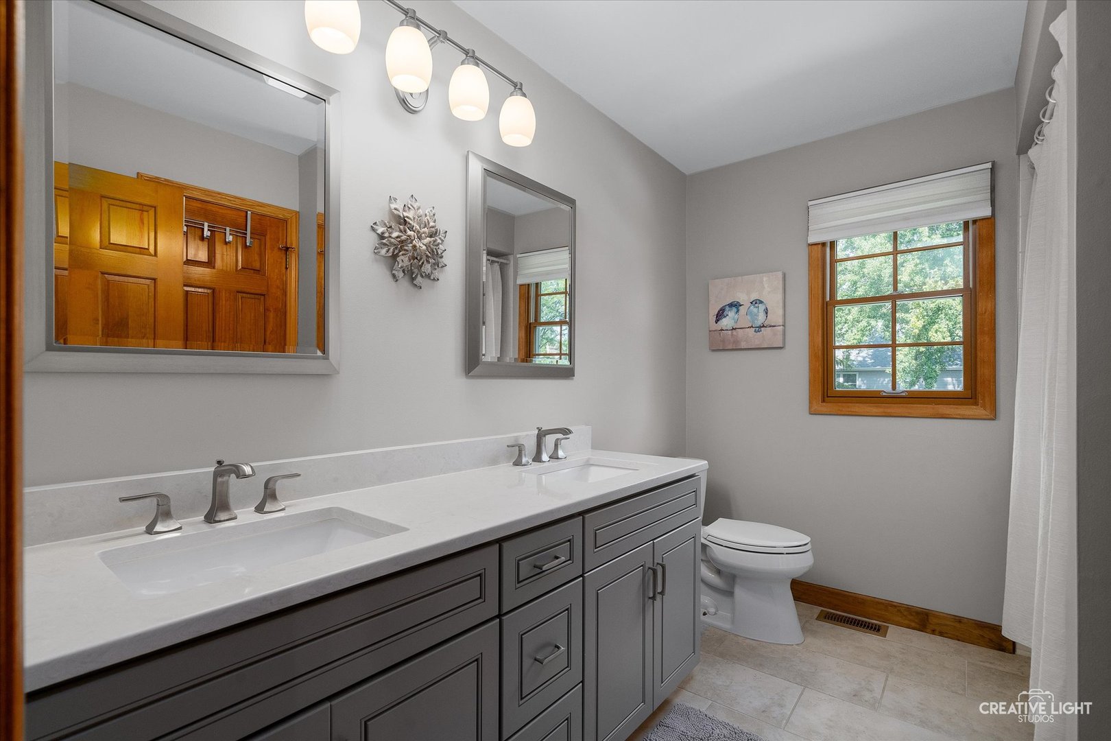 1924 Vassar Drive, Naperville, IL 60565