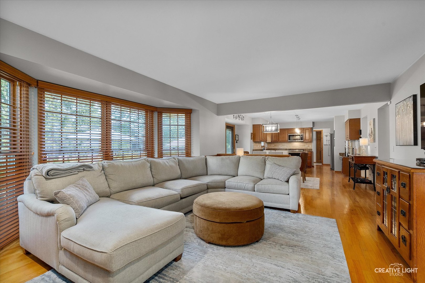 1924 Vassar Drive, Naperville, IL 60565