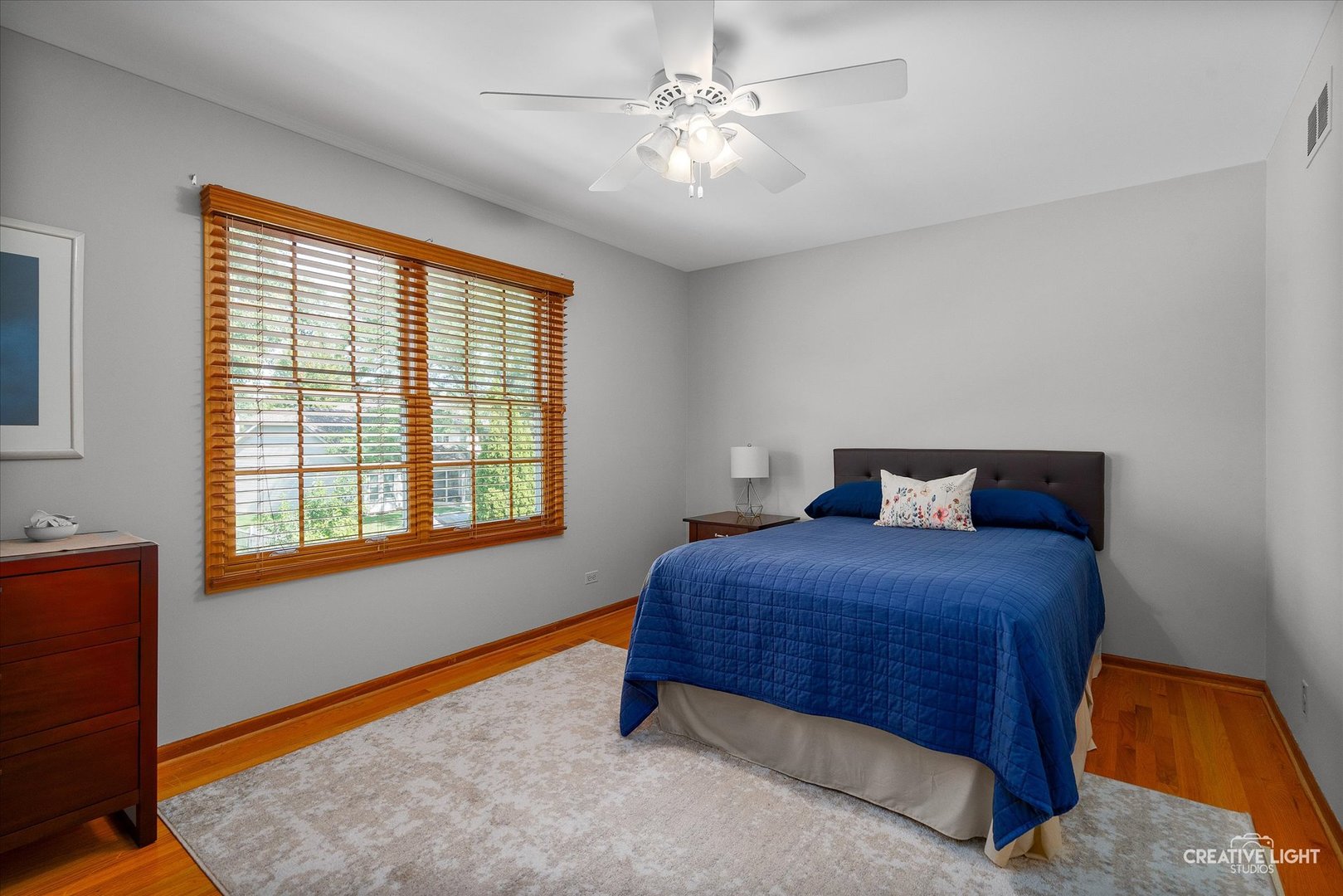 1924 Vassar Drive, Naperville, IL 60565