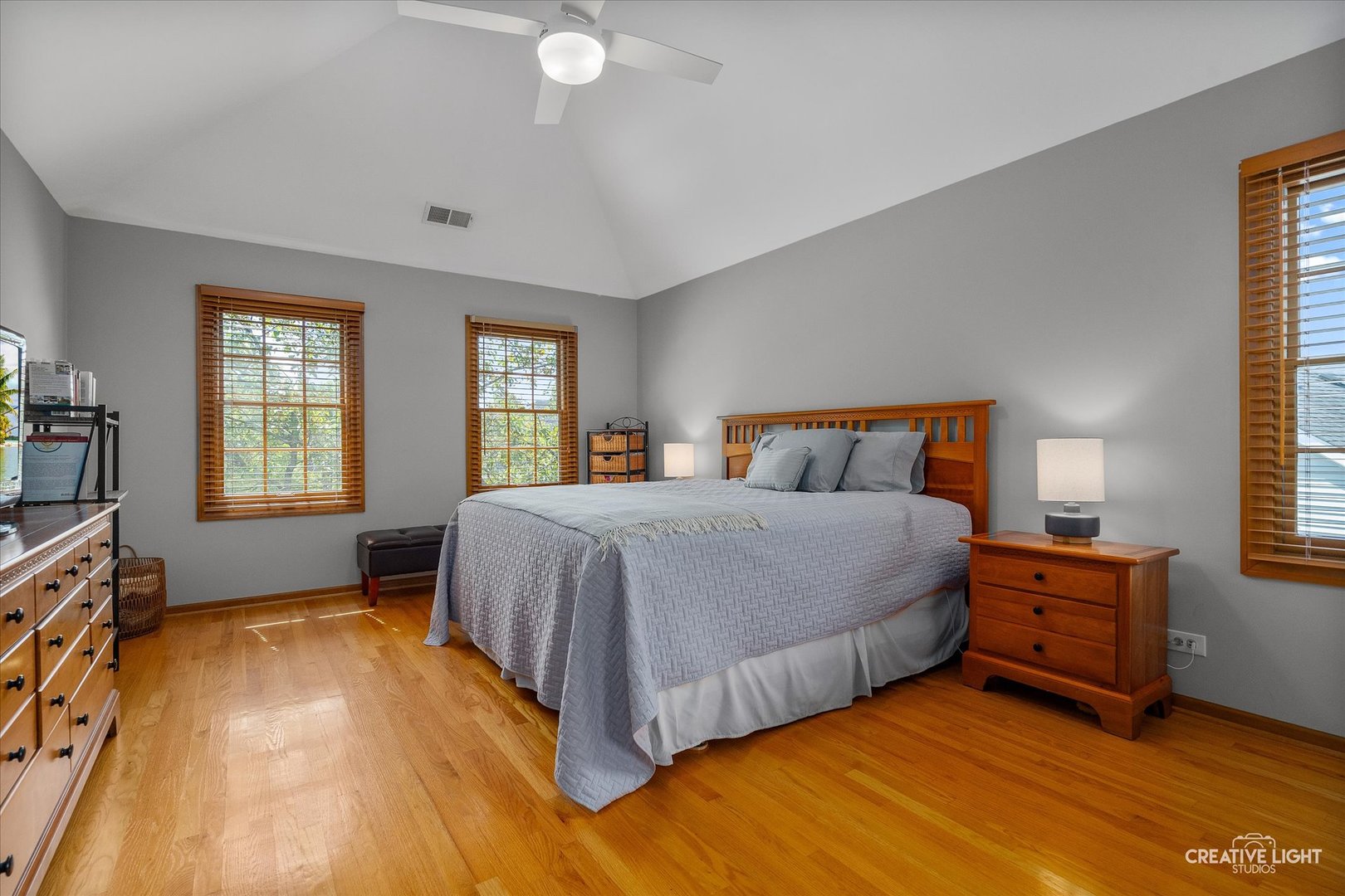 1924 Vassar Drive, Naperville, IL 60565