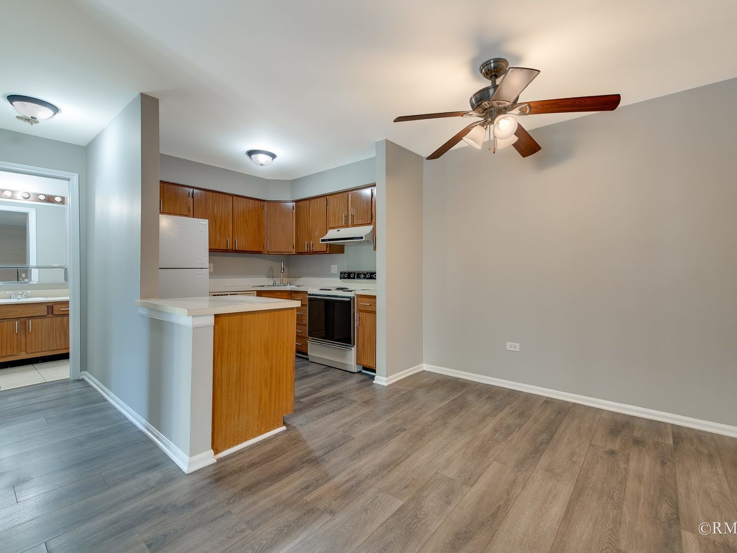 720 Prescott Drive #209, Roselle, IL 60172