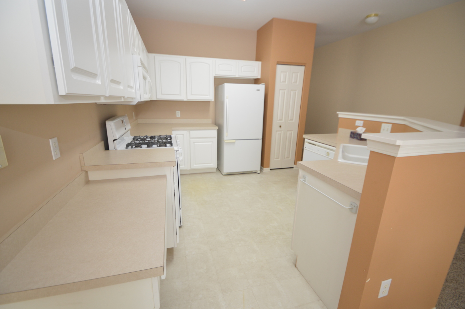 733 S Mecosta Lane, Romeoville, IL 60446