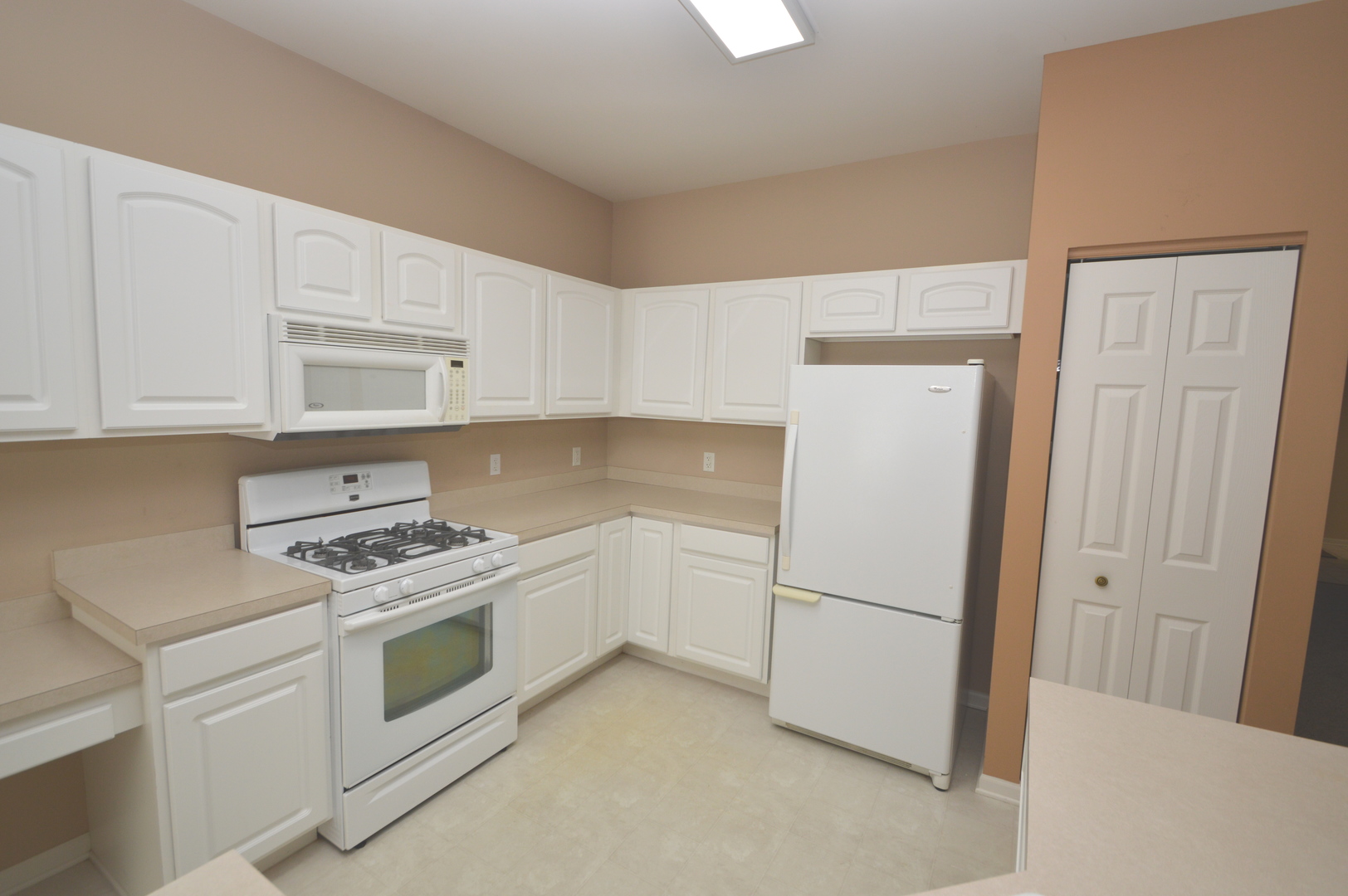 733 S Mecosta Lane, Romeoville, IL 60446