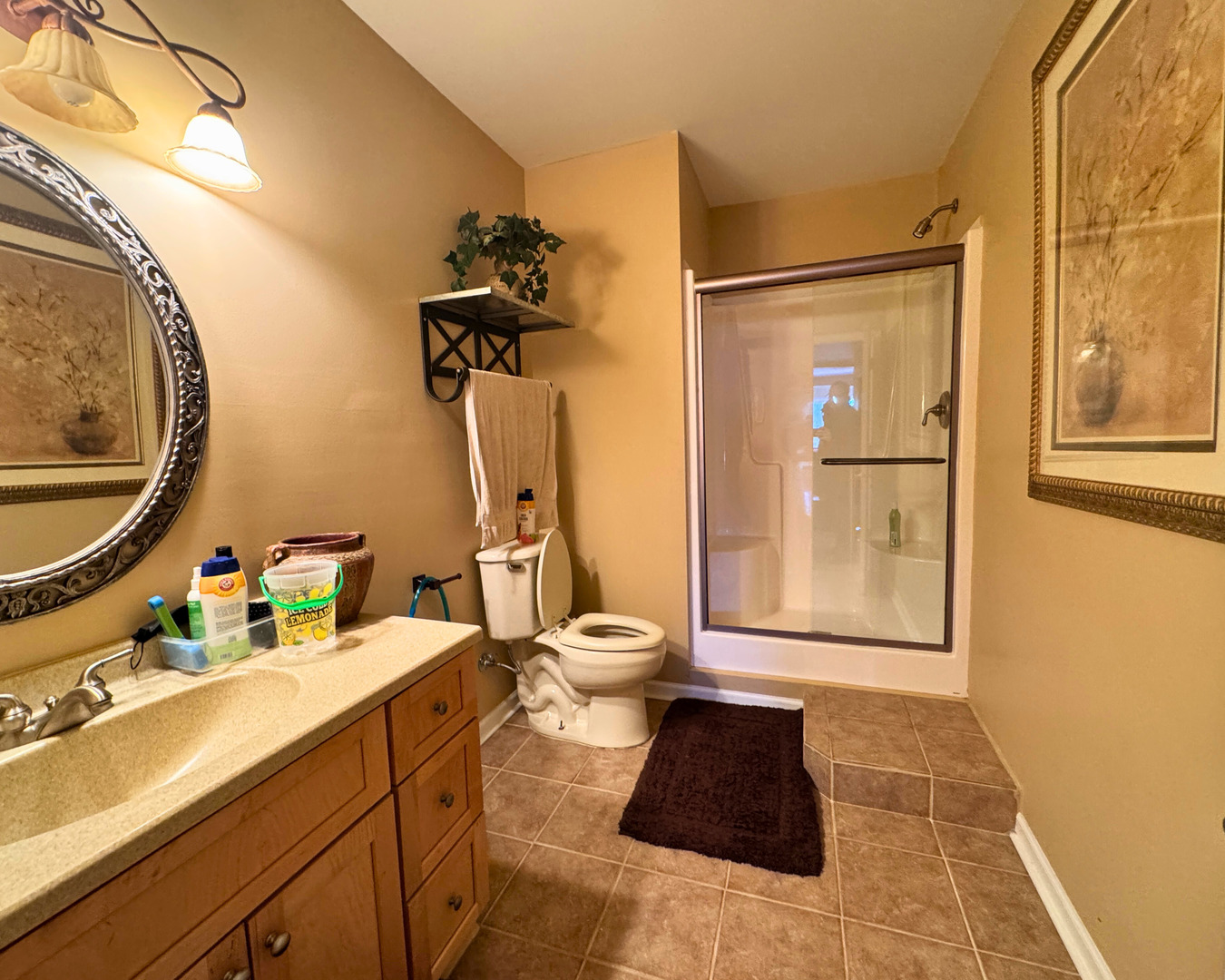 3805 Gladstone Drive, Naperville, IL 60565