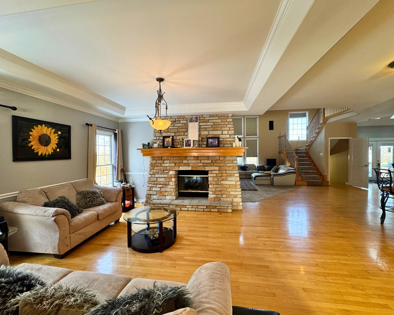 3805 Gladstone Drive, Naperville, IL 60565