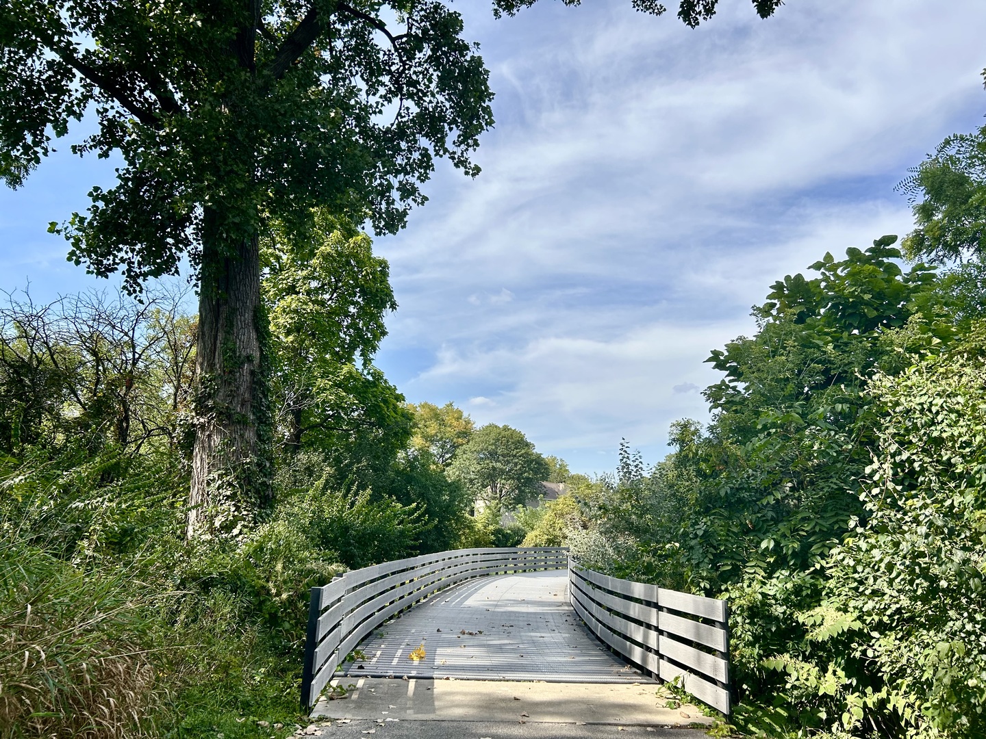 0N200 Windermere Road #2702, Winfield, IL 60190