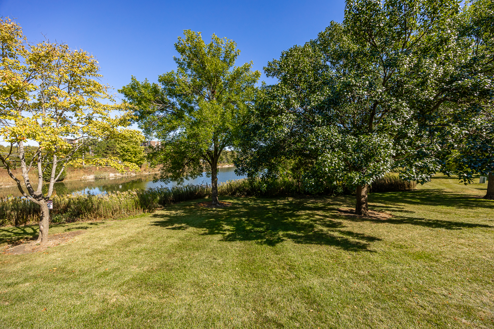 915 Carlisle Avenue, Westmont, IL 60559