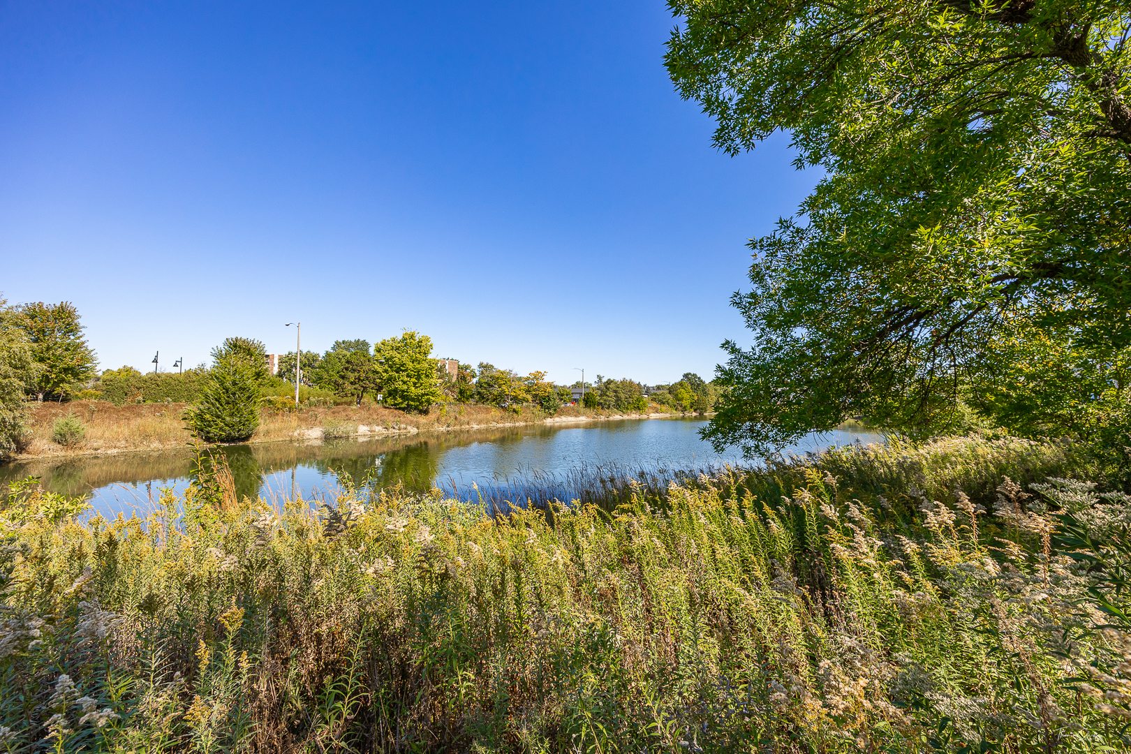 915 Carlisle Avenue, Westmont, IL 60559