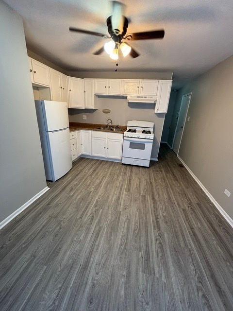 22256 Willow Tree Avenue, Sauk Village, IL 60411