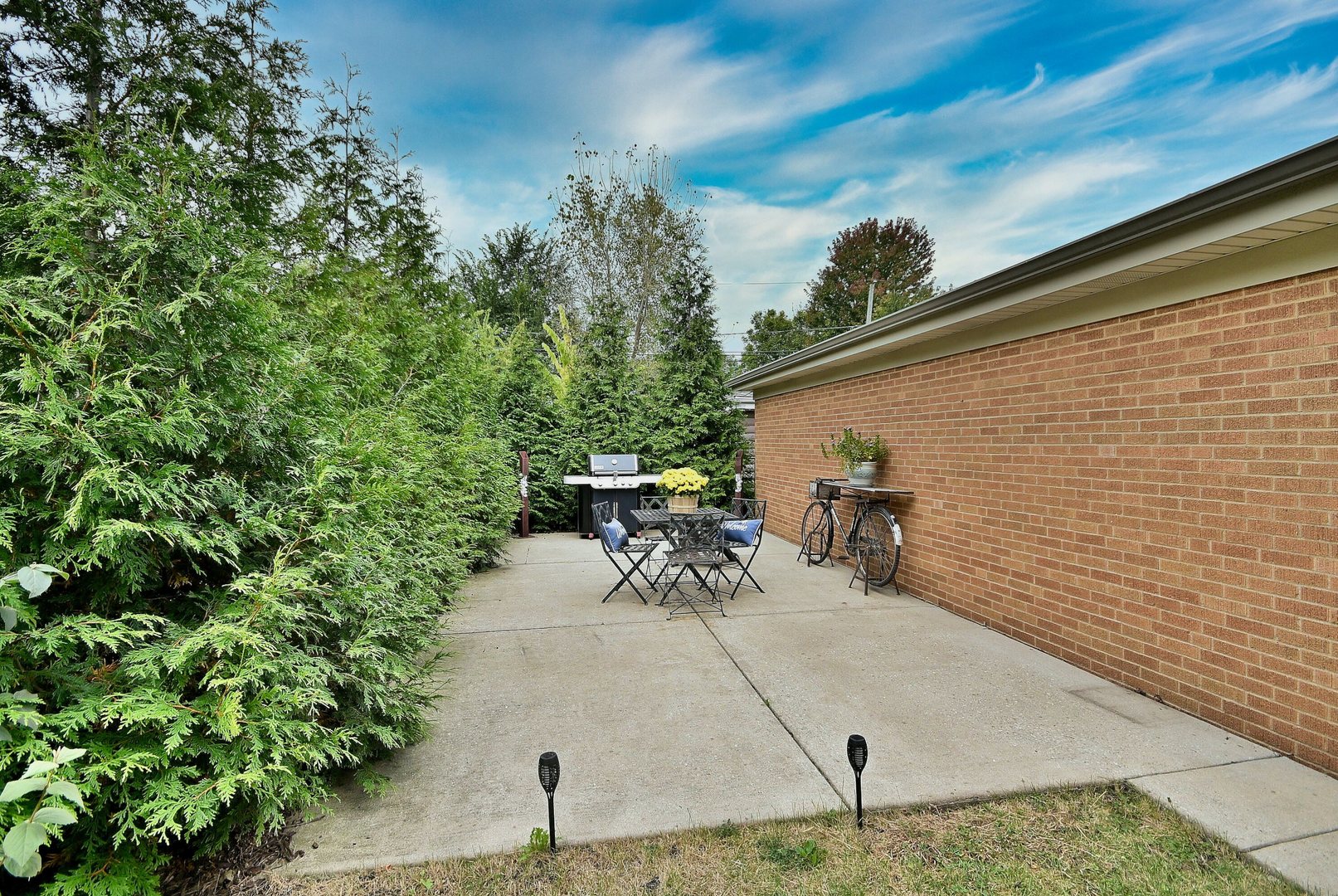 314 N Elm Avenue, Elmhurst, IL 60126