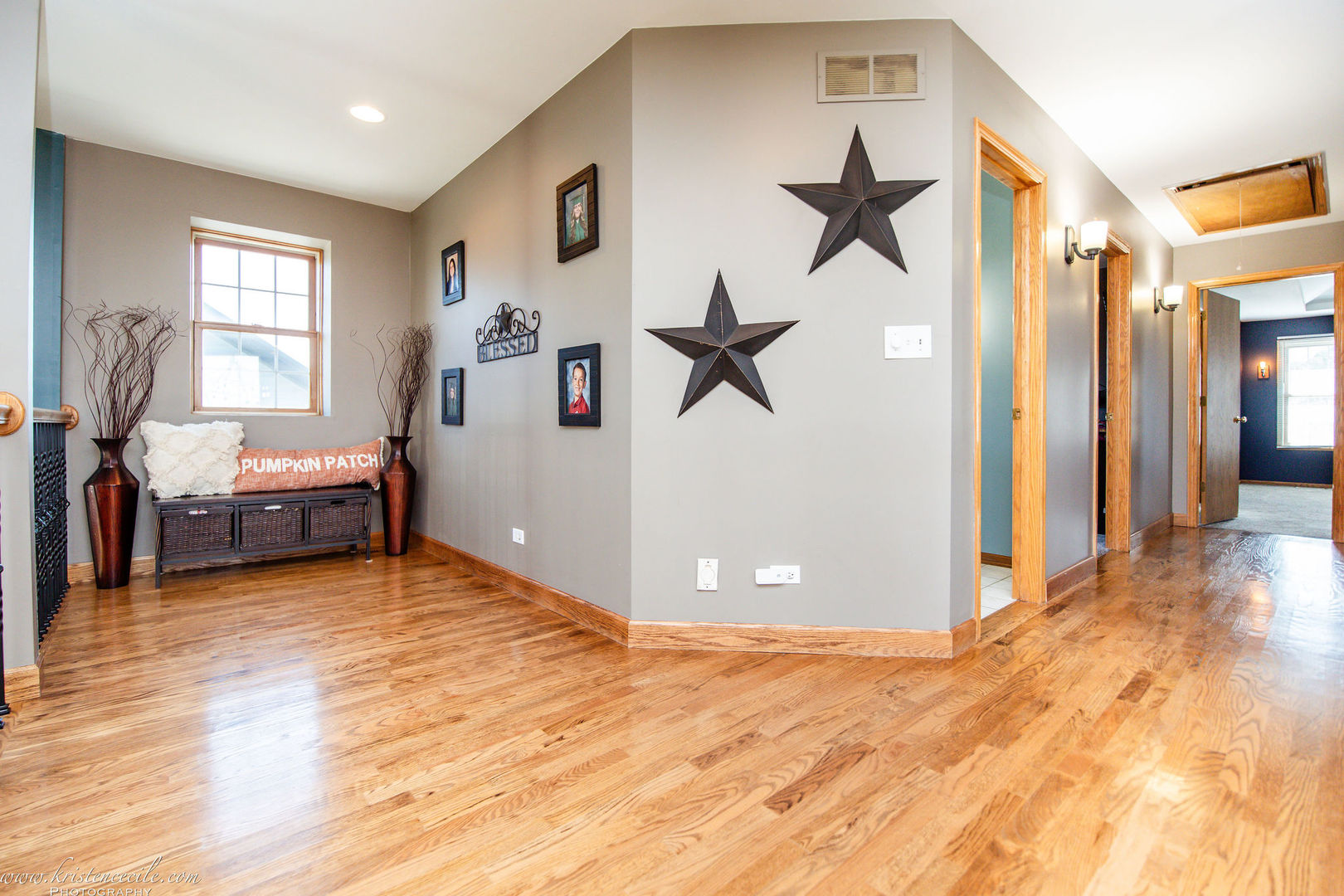 27243 S 88th Avenue, Monee, IL 60449