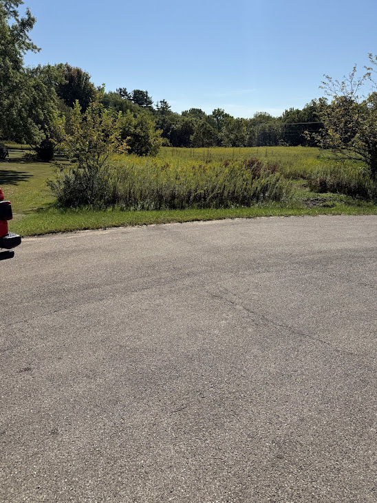 43W321 Creekside Court, St. Charles, IL 60174