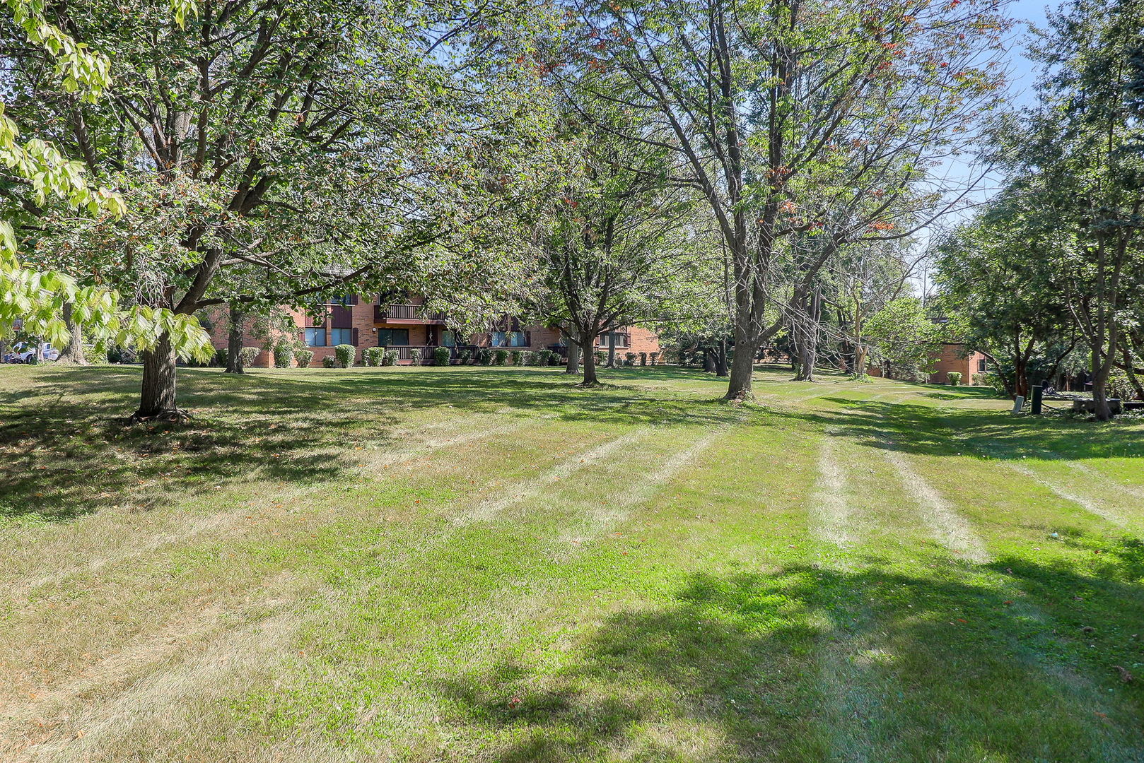 8000 Woodglen Lane #101, Downers Grove, IL 60516
