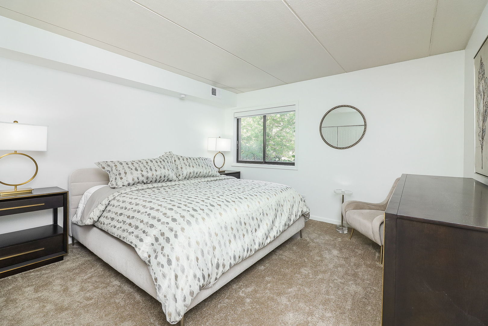 8000 Woodglen Lane #101, Downers Grove, IL 60516