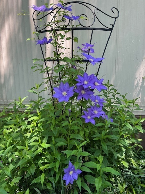 19900 128th Street #70, Bristol, WI 53104