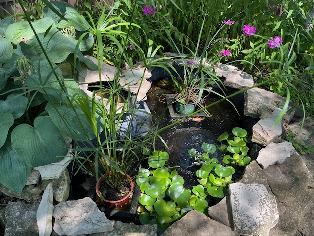 19900 128th Street #70, Bristol, WI 53104