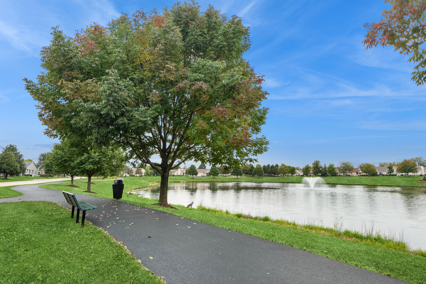 21308 Brush Lake Drive, Crest Hill, IL 60403