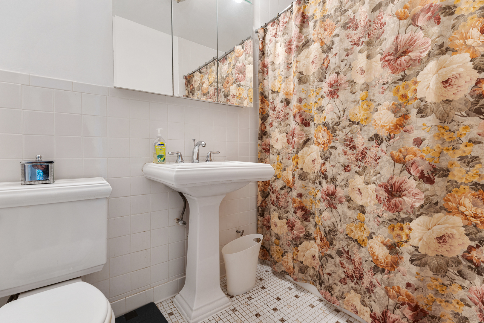 6301 N Sheridan Road #3A, Chicago, IL 60660