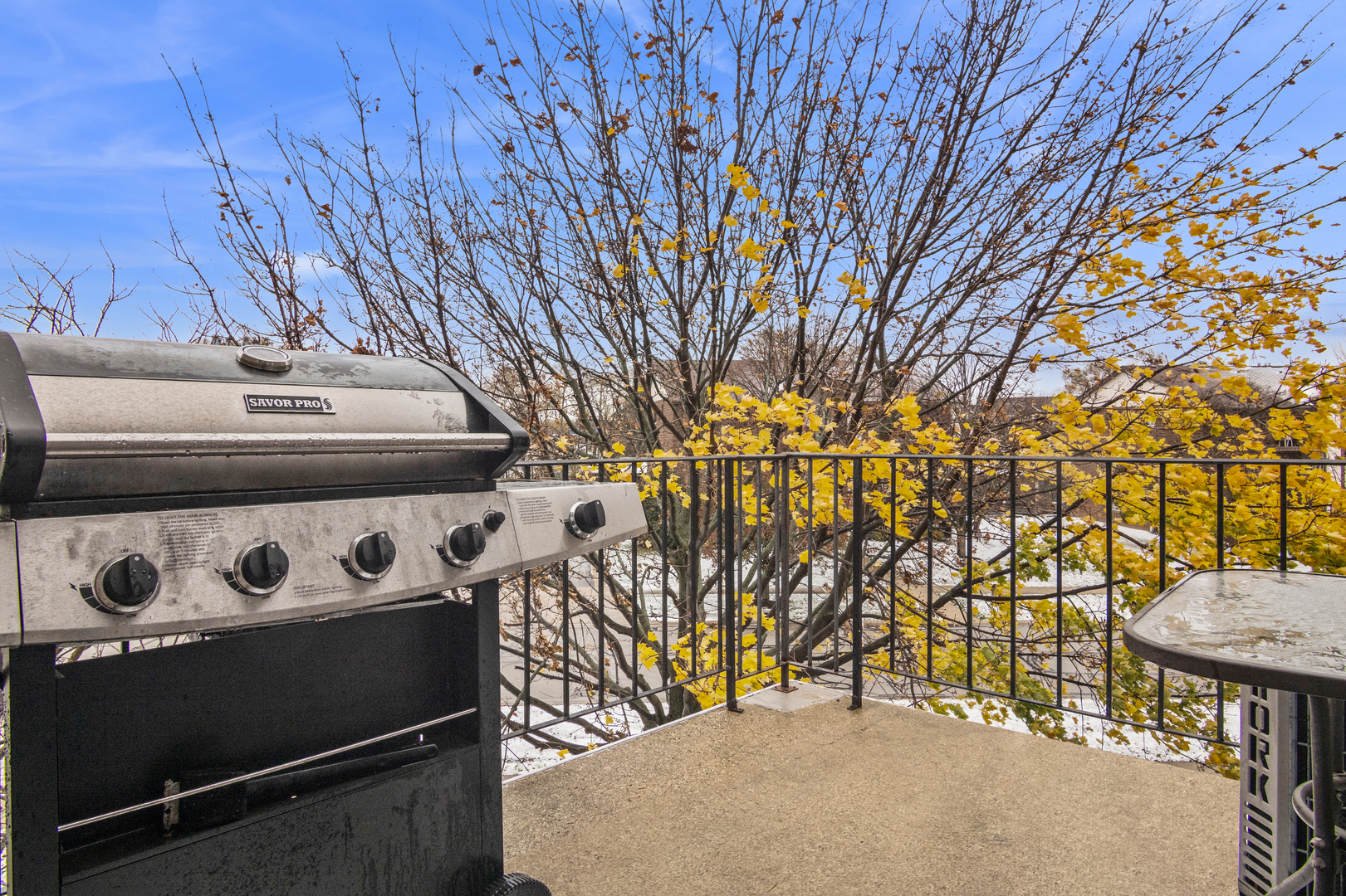 1258 CHALET Road #301, Naperville, IL 60563