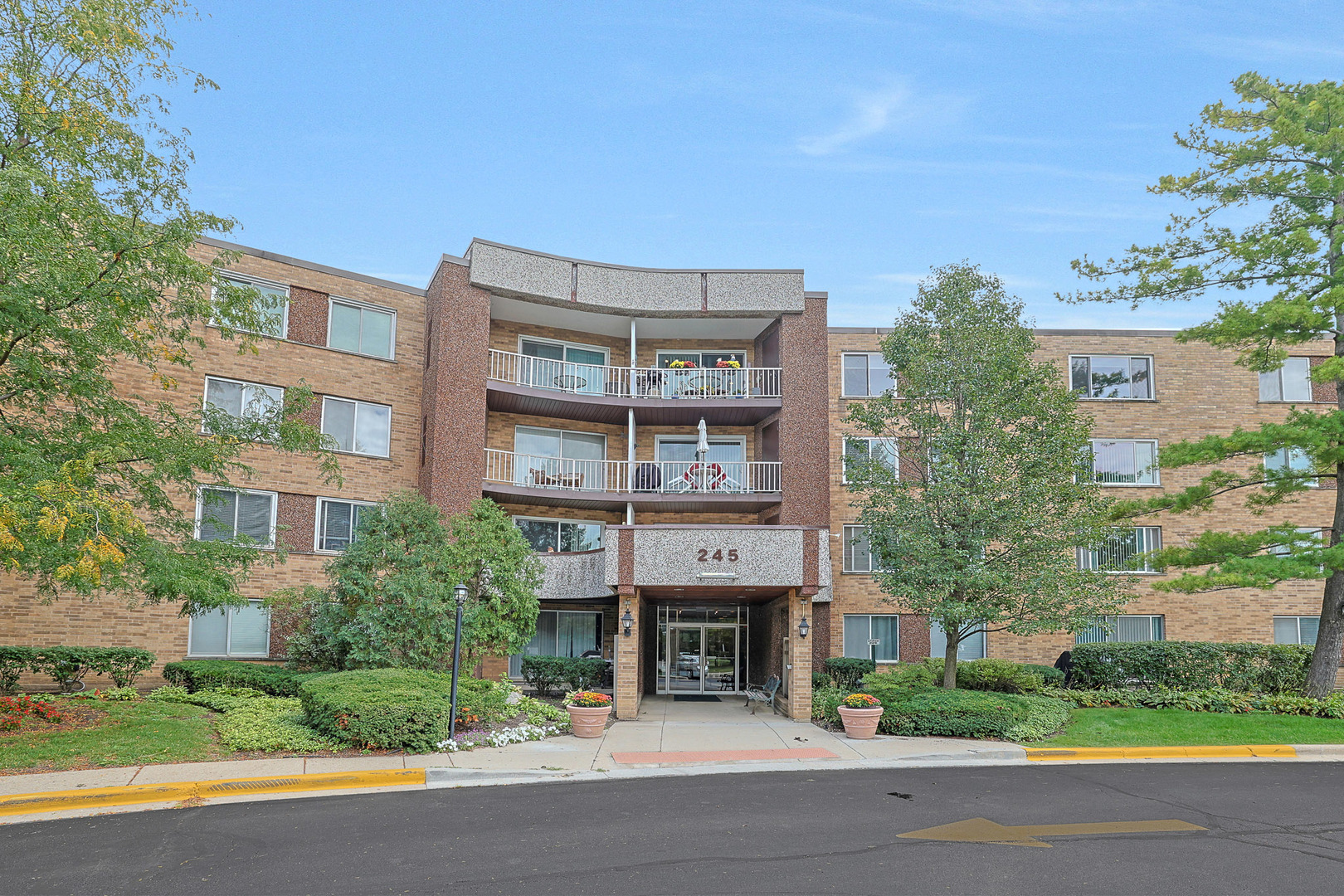 245 S Park Lane #409, Palatine, IL 60074