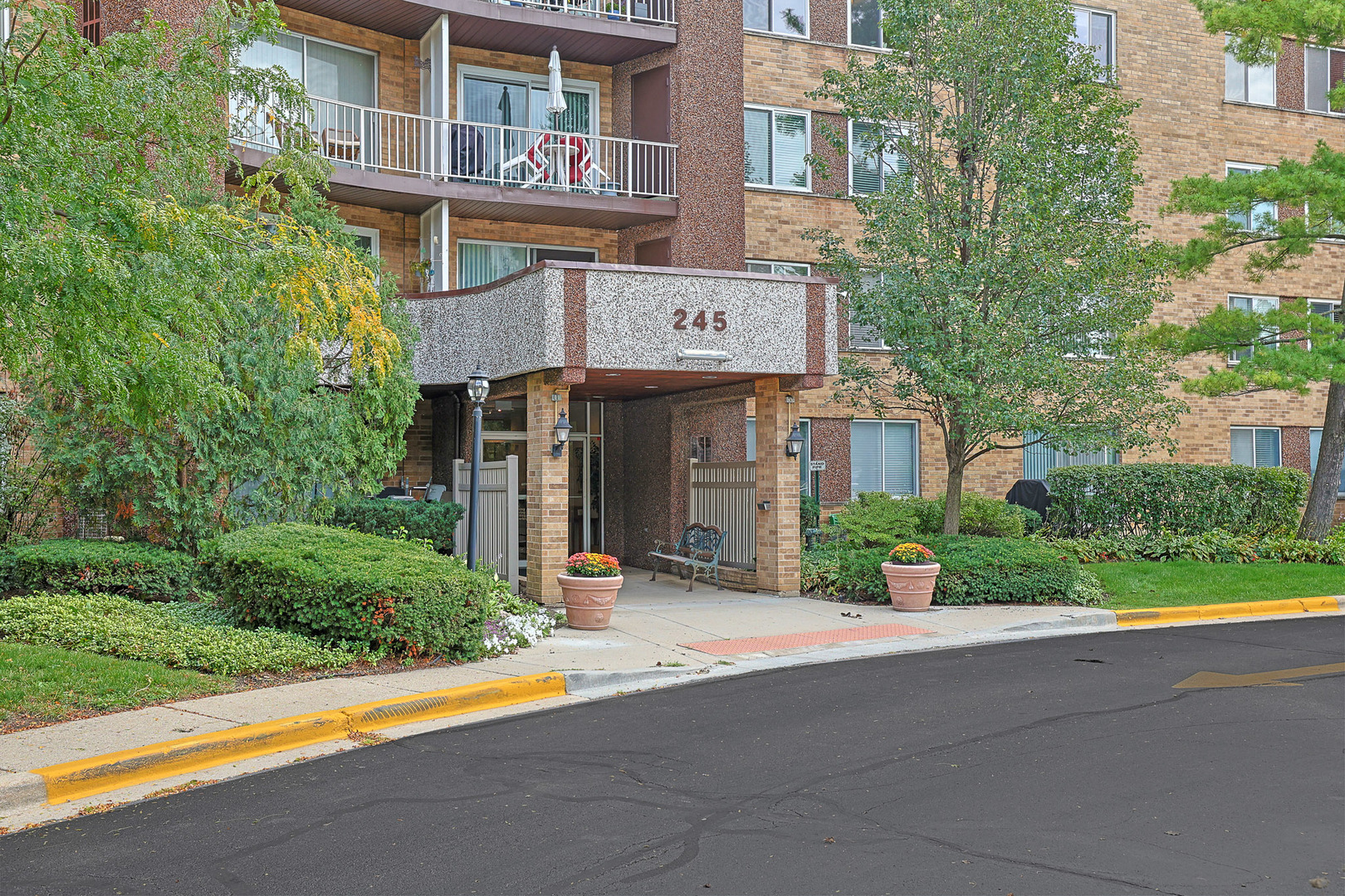 245 S Park Lane #409, Palatine, IL 60074