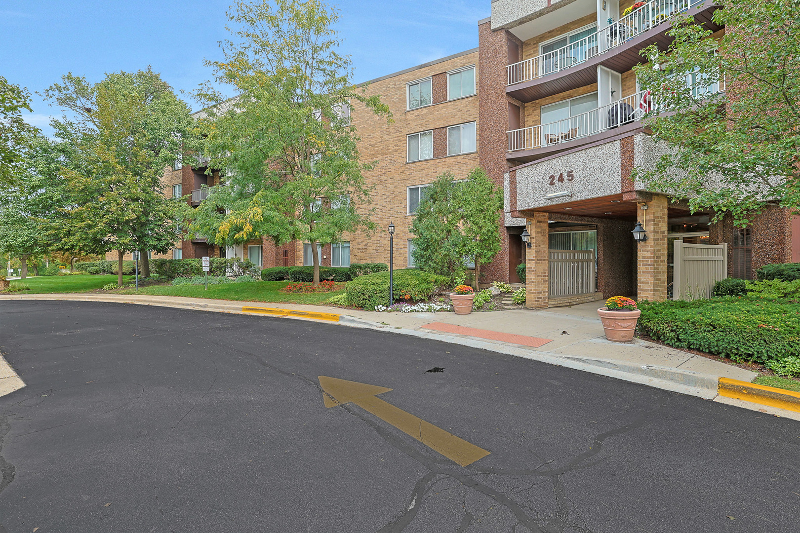 245 S Park Lane #409, Palatine, IL 60074