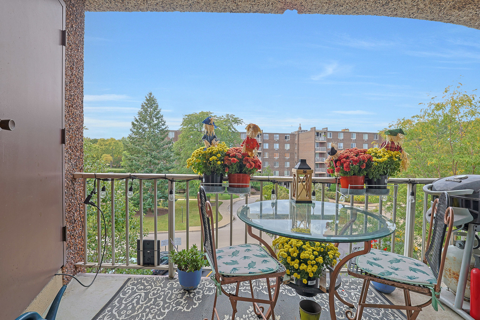 245 S Park Lane #409, Palatine, IL 60074