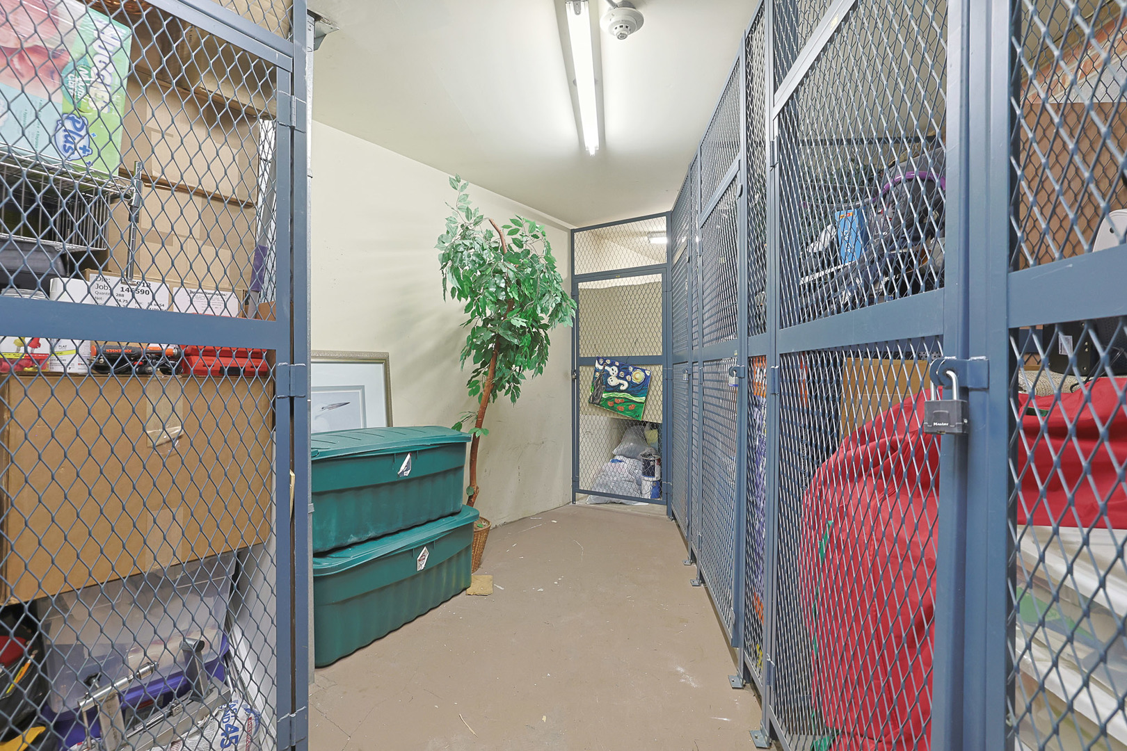 245 S Park Lane #409, Palatine, IL 60074