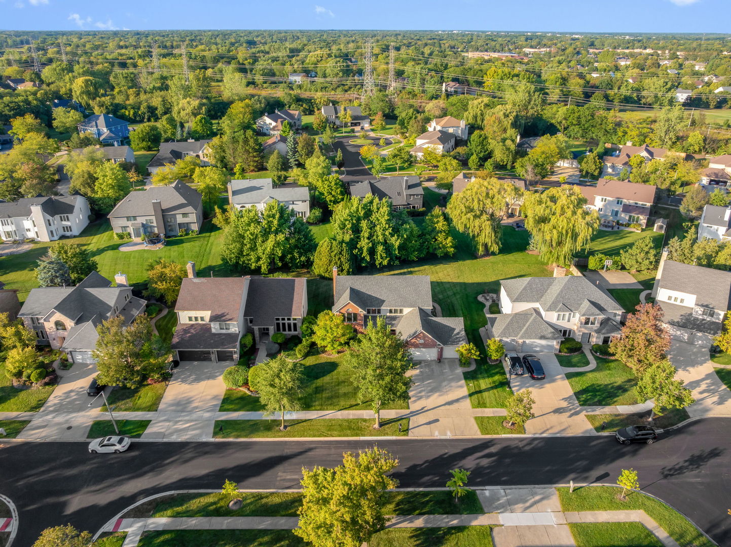 1998 Sheridan Court, Buffalo Grove, IL 60089